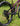 Pivot Trailcat SL Pro X0