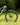 Transition Repeater PT Carbon GX AXS