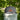 Hub Leather Patch Hat