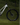 Orbea Rallon M10