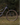Orbea Rise SL M20