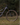 2026 Orbea RISE LT M20 630W 20m